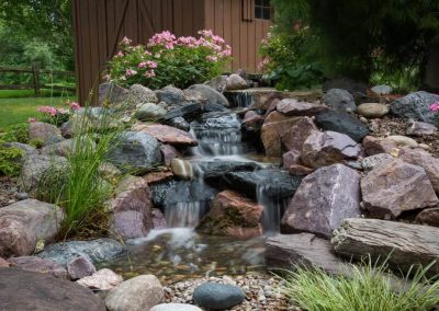 desert landscape backyard Chandler